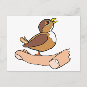 Cartão Postal Um Pássaro Na Mão