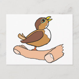 Cartão Postal Um Pássaro Na Mão