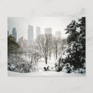 Cartão Postal Um Pedicab no Central Park durante o inverno