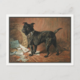 Cartão Postal Um Pug Negro Malvado de John Emms