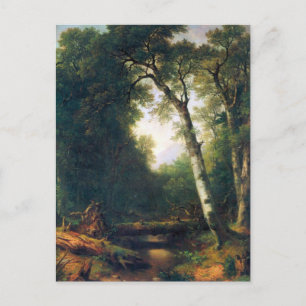 Cartão Postal Um riacho na floresta por Asher Brown Durand