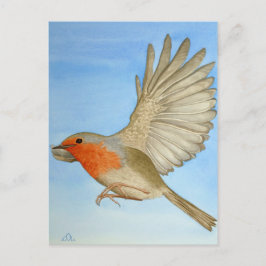 Cartão Postal Um Robin no voo