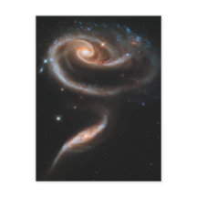 Um rosa feito de galáxias