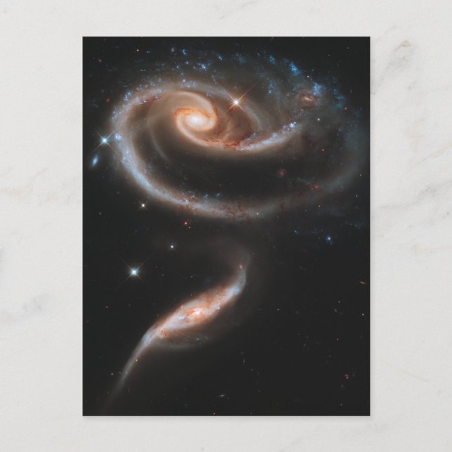 Cartão Postal Um rosa feito de galáxias (Frente)