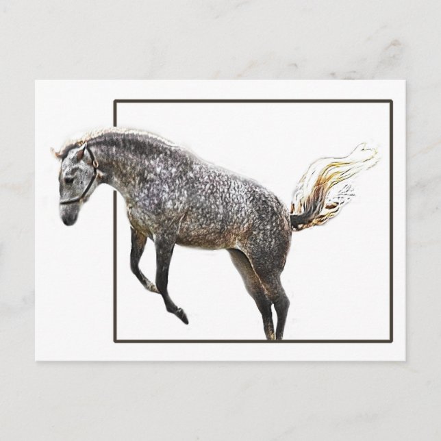 Cartão Postal Um salto alegre (Frente)