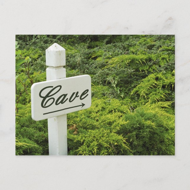 Cartão Postal Um sinal apontando para a adega (Cave) (Frente)