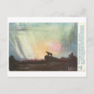 Cartão Postal Um Urso a Caminho