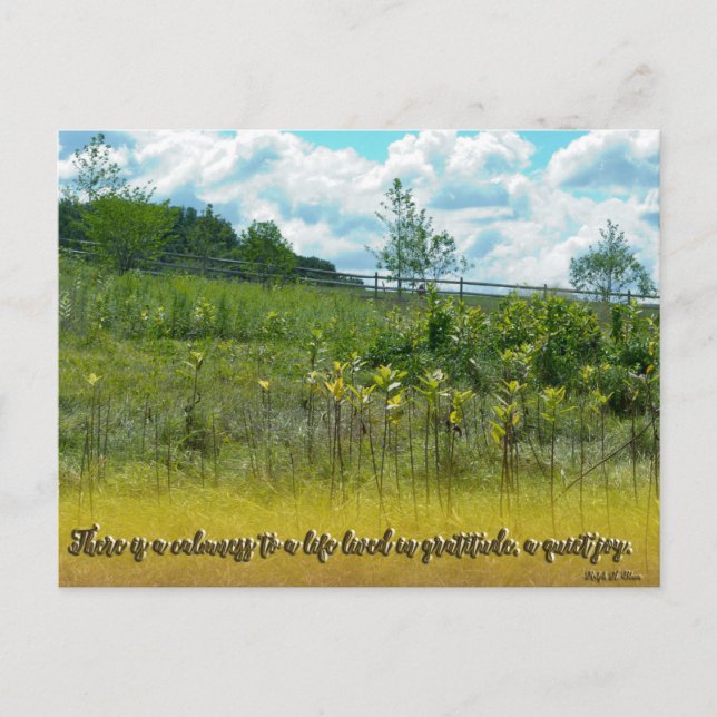 Cartão Postal Uma Alegria Silenciosa (Frente)