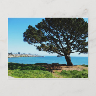 Cartão Postal Uma Árvore Para Todas As Estações
