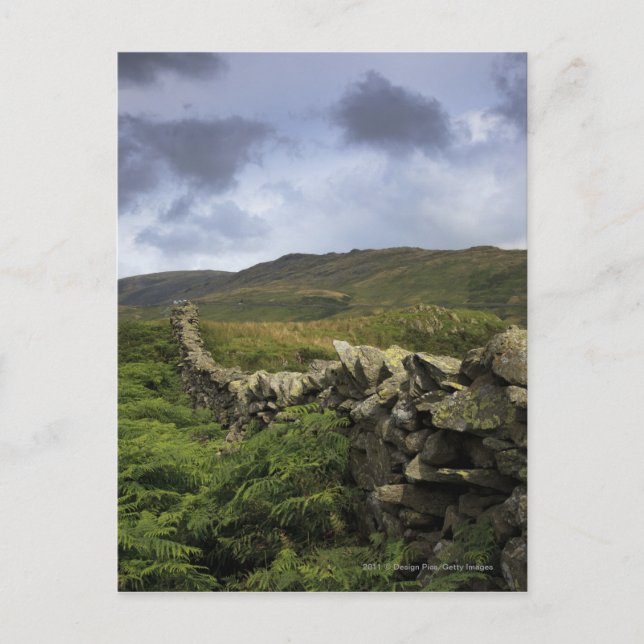 Cartão Postal Uma cerca de pedra através de campos (Frente)