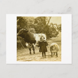 Cartão Postal Uma Criança Deve Levá-Los