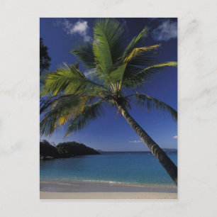Cartão Postal Uma das melhores praias do mundo; Trunk Bay em