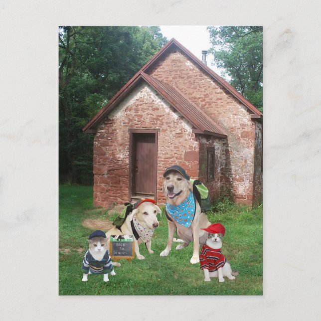 Cartão Postal Uma escola de quarto (Frente)
