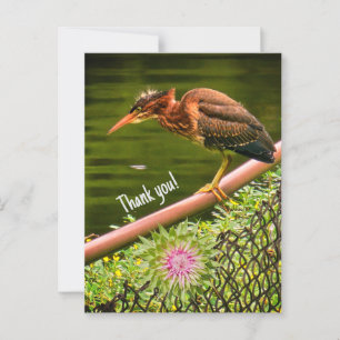 Cartão Postal Uma garça-verde