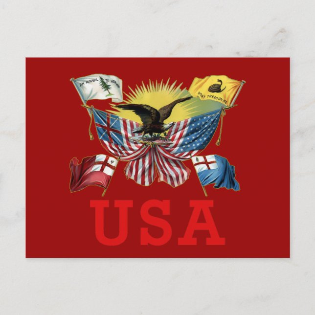 Cartão Postal Uma História das Bandeiras Americanas numa Camiset (Frente)