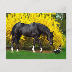 Cartão Postal "Uma ideia muito ruim"