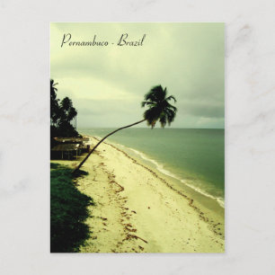 Cartão Postal Uma ilha. Pernambuco, Brasil