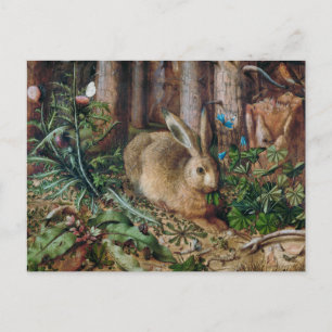 Cartão Postal Uma Lebre na Floresta