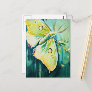 Cartão Postal Uma Linda Mariposa Verde