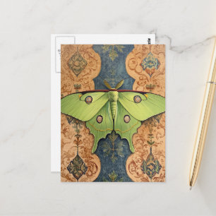 Cartão Postal Uma Linda Mariposa Verde Fundo Azul Marrom