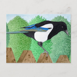 Cartão Postal Uma Magpie empobrecida sobre uma cerca