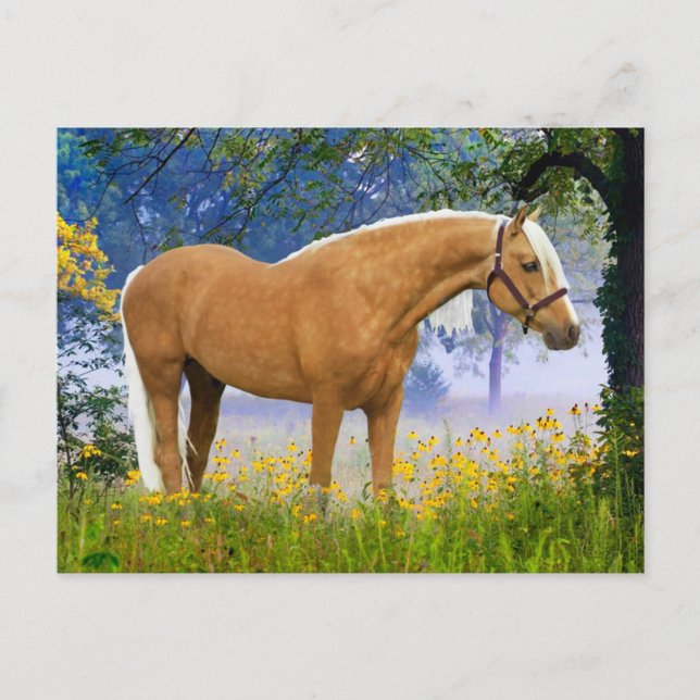 Cartão Postal "Uma Manhã Nebulosa"  (Frente)