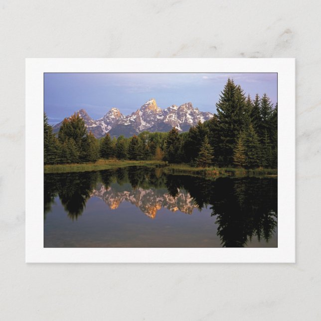 Cartão Postal "Uma Manhã Teton" (Frente)