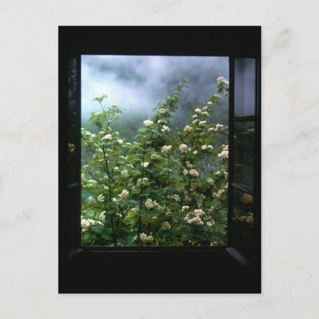 CARTÃO POSTAL UMA MULHER DE AMOR (Frente)