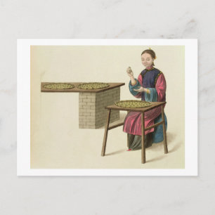 Cartão Postal Uma mulher preparando chá, prato 21 de "A fantasi