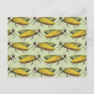 Cartão Postal Uma multidão de Katydids