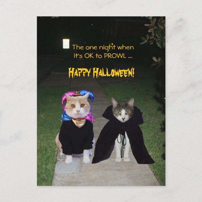 Cartão Postal Uma noite está tudo bem para o PROWL (Frente)