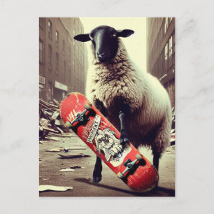 Cartão Postal Uma Ovelha Skate