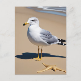 Cartão Postal Uma pequena gaivota numa praia bonito cercada por