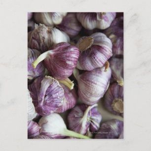 Cartão Postal uma pilha de alho fresco colocada à venda