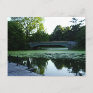 Cartão Postal Uma ponte sobre o lago em Prospect Park
