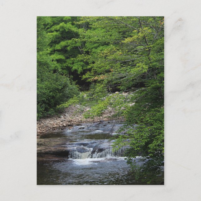 Cartão Postal Uma queda d'água miniatura (Frente)