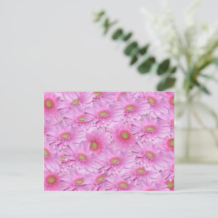 Cartão Postal Uma Sinfonia de Gerberas Rosa,