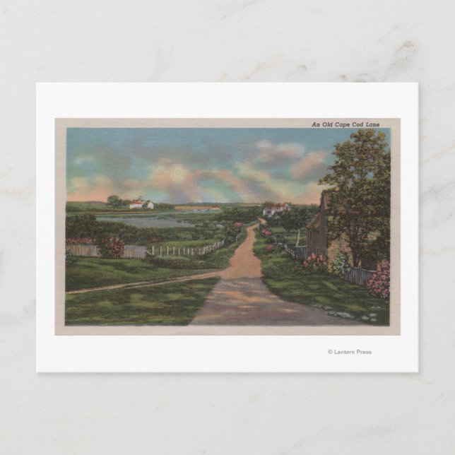 Cartão Postal Uma Vara Faixa de Cabo Cod (Frente)