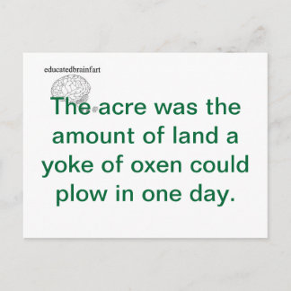 Cartão Postal Uma Verdade