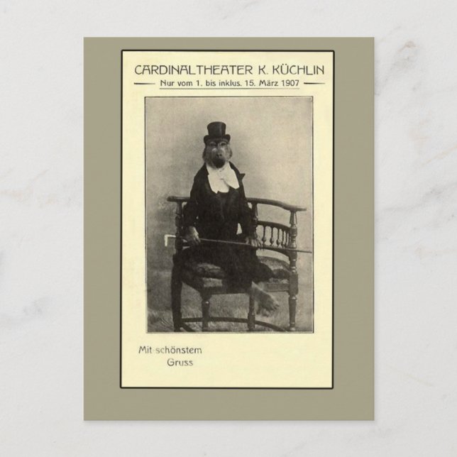 Cartão Postal Uma verdadeira odidade - Um macaco num naipe (Frente)