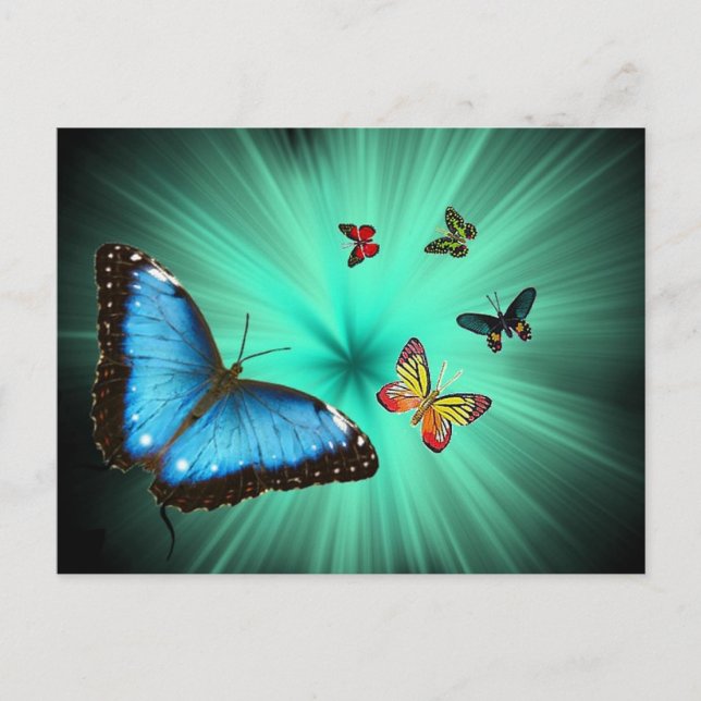 Cartão Postal Uma Viagem de Butterflys (Frente)
