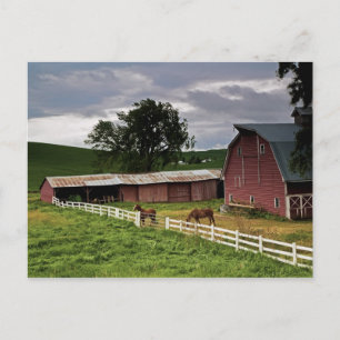 Cartão Postal Uma viagem pelo interior rural de Palouse 4