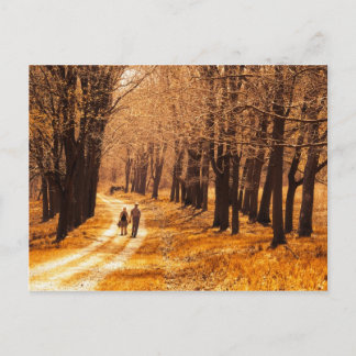 Cartão Postal Uma vida brilhante