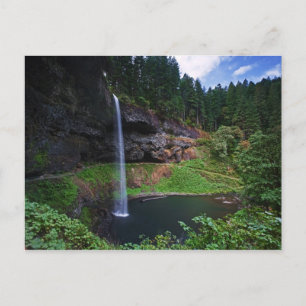 Cartão Postal Uma vista da South Falls no Silver Falls State Par