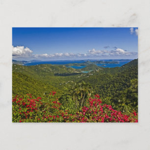 Cartão Postal Uma vista panorâmica da Baía de Cruse, St. John Il