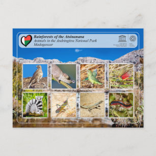 Cartão Postal UNESCO - Atsinanana - Parque Nacional Andringitra 