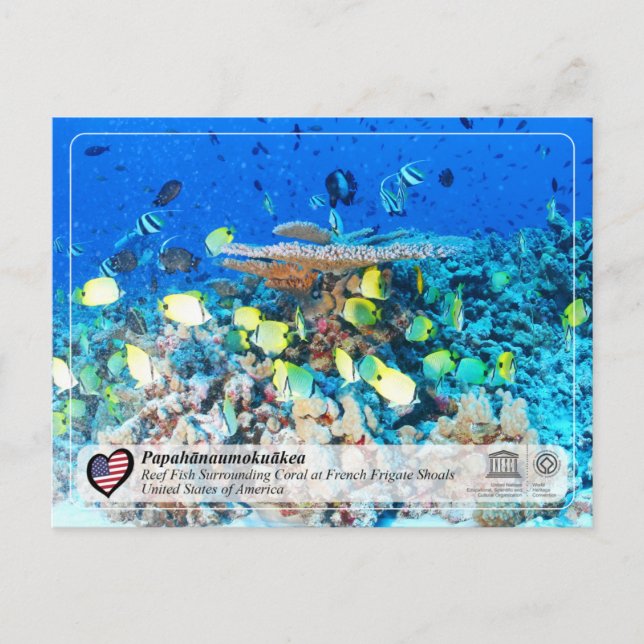 Cartão Postal UNESCO - Papahānaumokuākea - Sapatos de Frigado Fr (Frente)