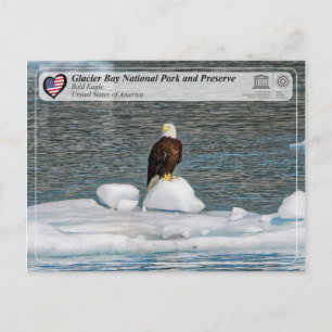 Cartão Postal Unesco - Parque Nacional da Baía de Glacier - Ág