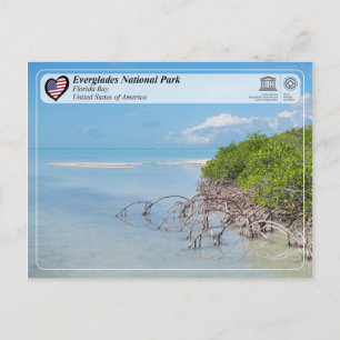 Cartão Postal UNESCO - Parque Nacional Everglades - Baía da Fl