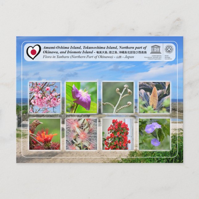 Cartão Postal UNESCO - Parte norte da Ilha de Okinawa - 沖縄島北部 (Frente)